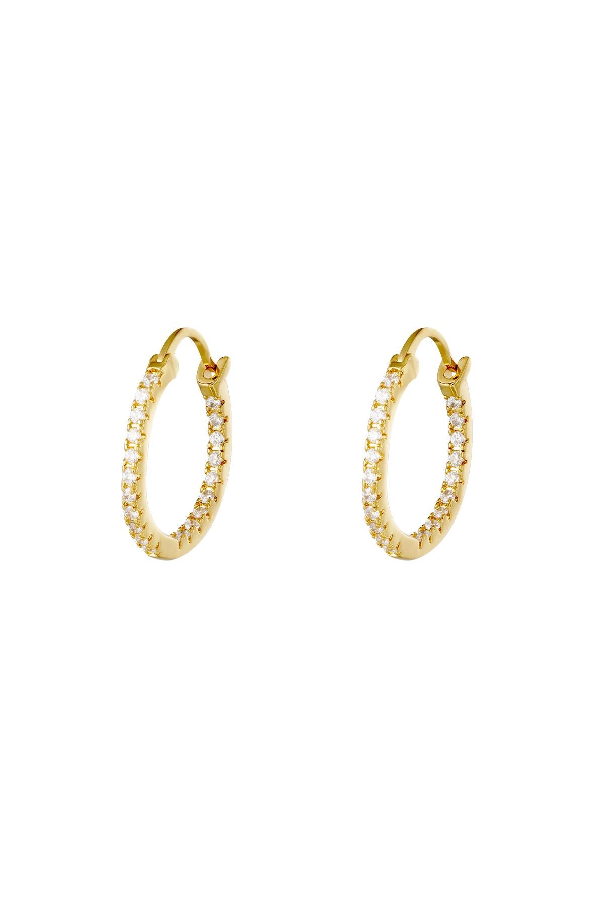 Ohrringe - Shiny Hoops