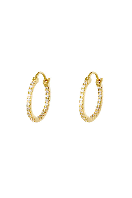 Ohrringe - Shiny Hoops